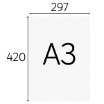 A3