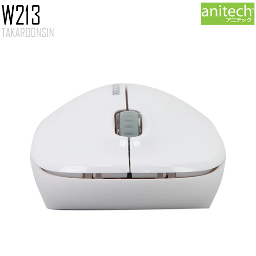 เมาส์ไร้สาย Anitech Wireless รุ่น W213